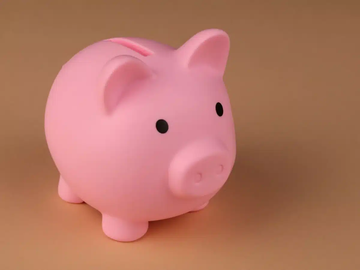 money piggy bank